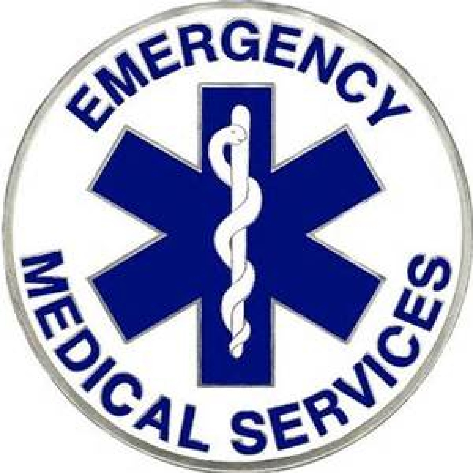 EMS Logo